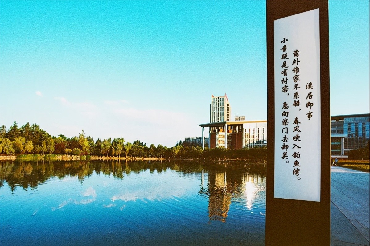 重庆一共获得多少个冠军,获得国家三大奖项的重庆高校