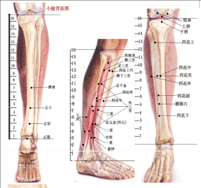每日一学——学点董穴（1）