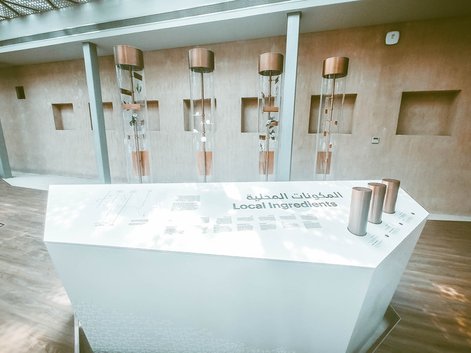 不一样的角度看迪拜,10个冷知识带你认识迪拜