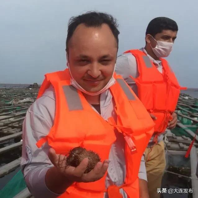 在大连留学生,在外国的中国留学生看国内美食