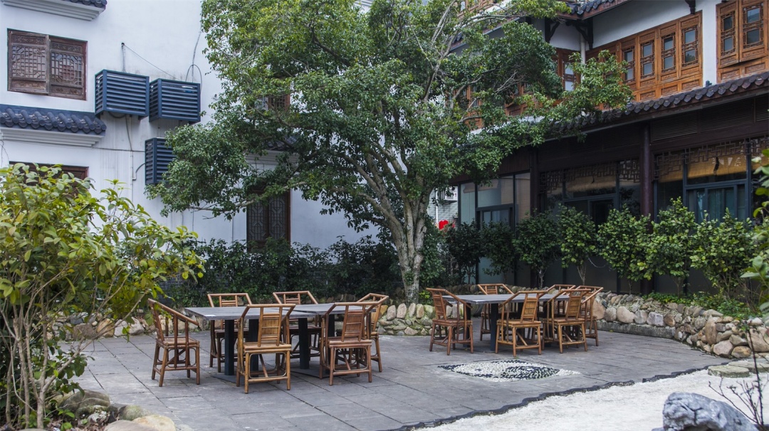 女孩子总想出去旅游,为什么成人总想旅游