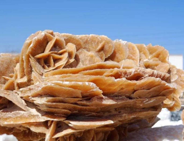 在沙漠中见到石头一定要捡起来,为何在沙漠看到石头必须捡起来