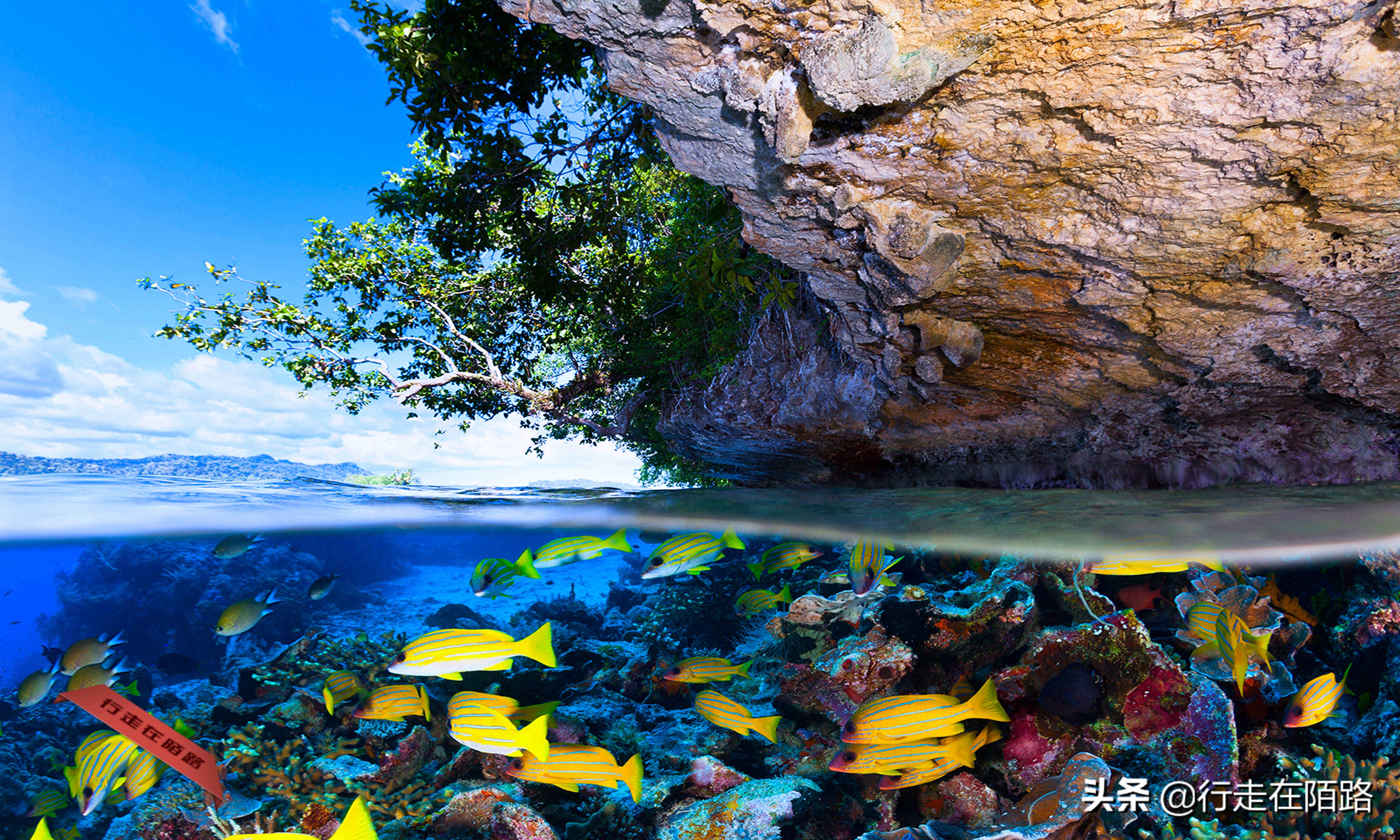 印尼四王岛旅行费用,泰国皇帝岛旅游费用