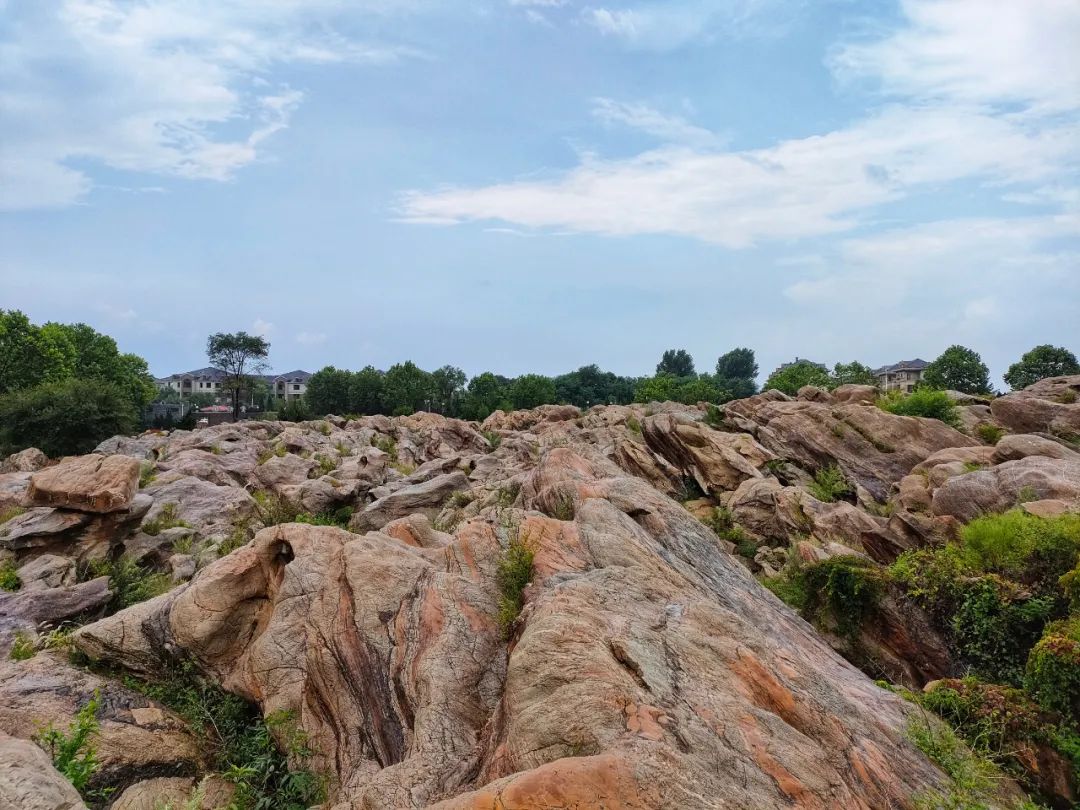 大连金石园奇石名称,大连市金石园