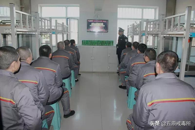 全市社区戒毒社区康复成绩,戒毒系统工作