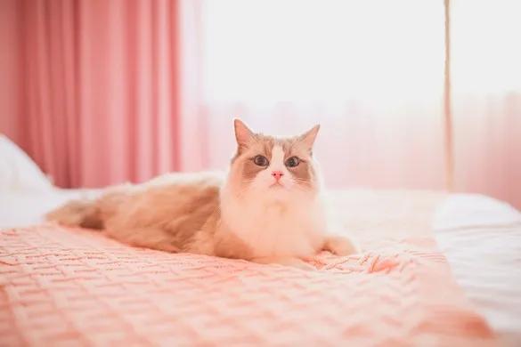 收藏旅游地,收藏的旅游打卡地