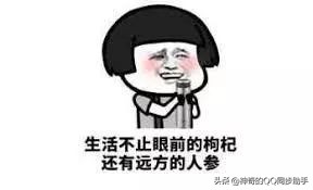 教你不花钱可以赚钱,教你不花钱拥有火箭少女