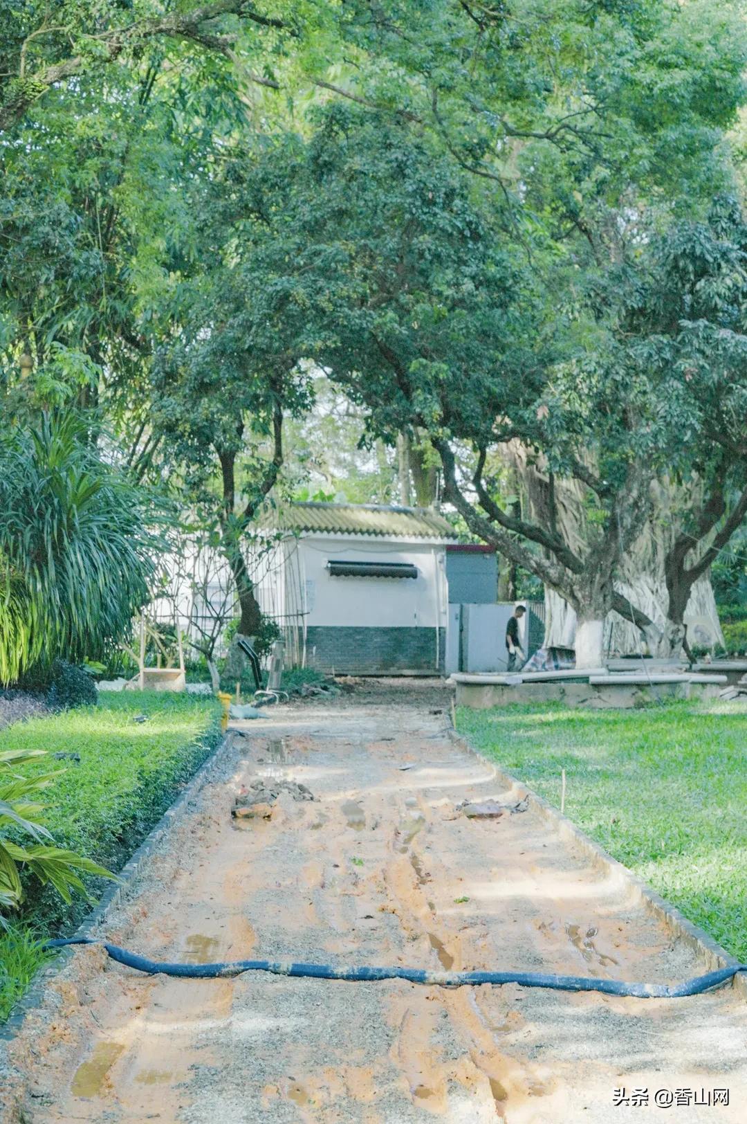 珠海鲜为人知的一面,珠海有名的花园