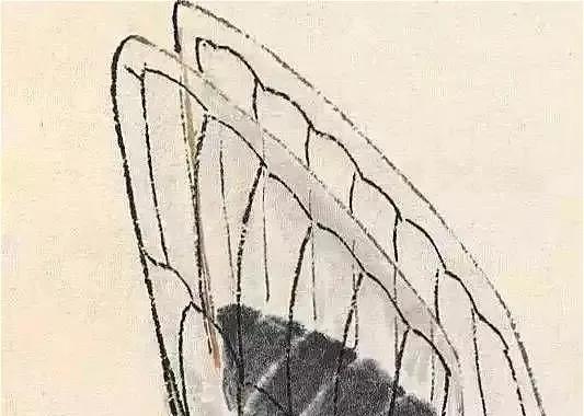 齐白石87岁画的虾背后的故事,齐白石画的虾真的图片及简介