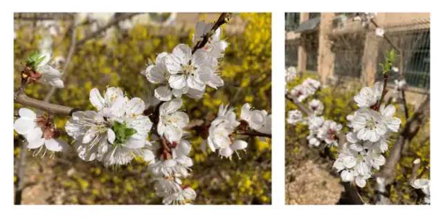 期末庆典〡诗酒趁年华:读写起来,讲玩起来,串烧起来,演唱起来