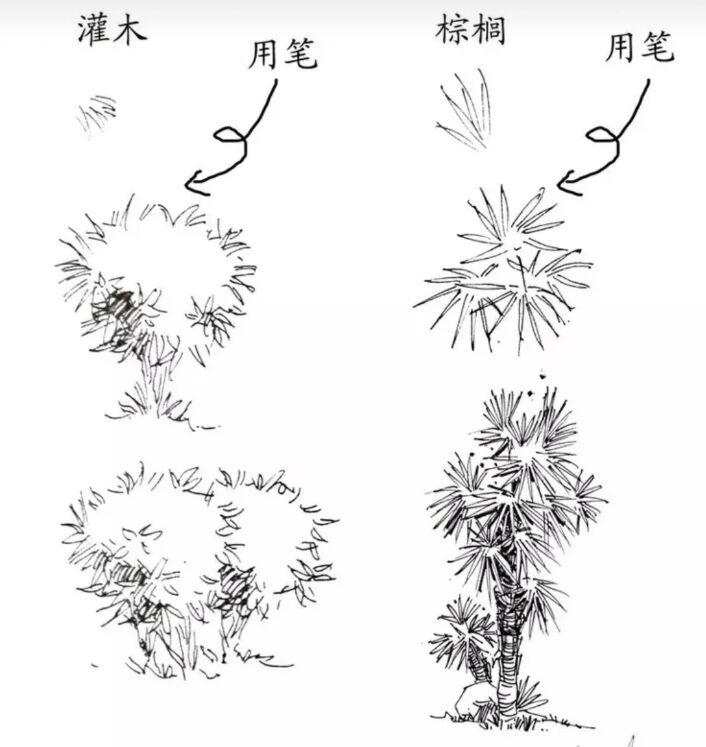 入门风景速写1000例临摹图,风景速写教你超简单的树木画法