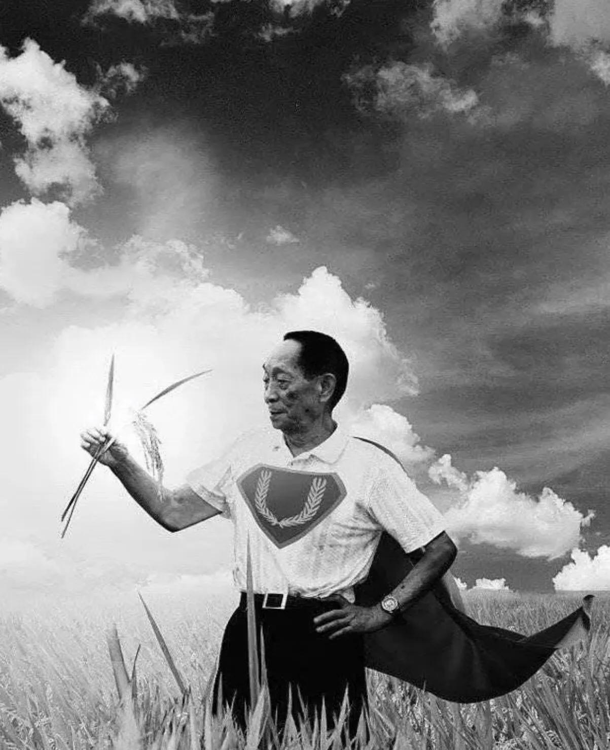 吃饭不忘种稻人,吃饭不忘种田人报恩