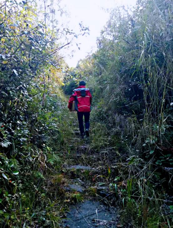 是谁温暖了我的2019,谁温暖了冬季