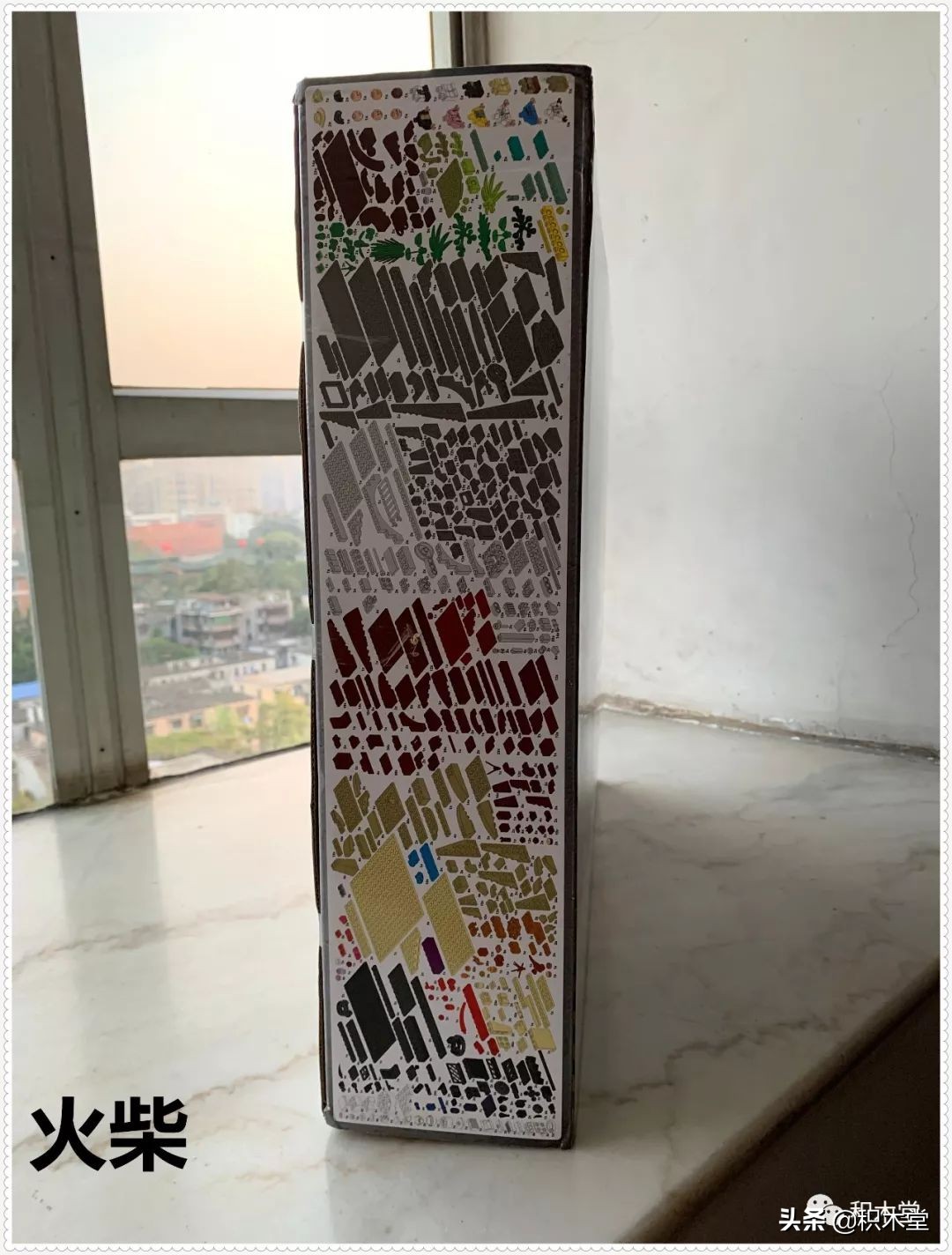 乐翼积木11338（雷克斯霸王龙）--（开箱贴）