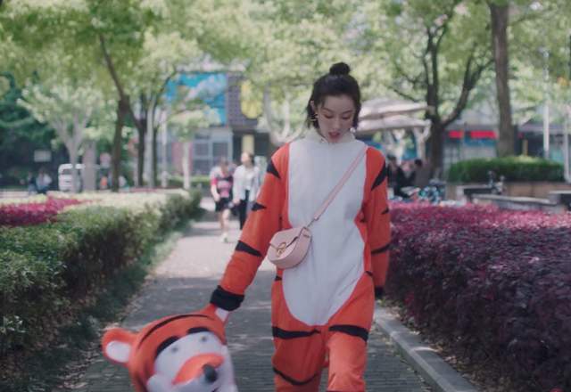 孙俪安家口碑两极分化,孙俪安家为什么火了