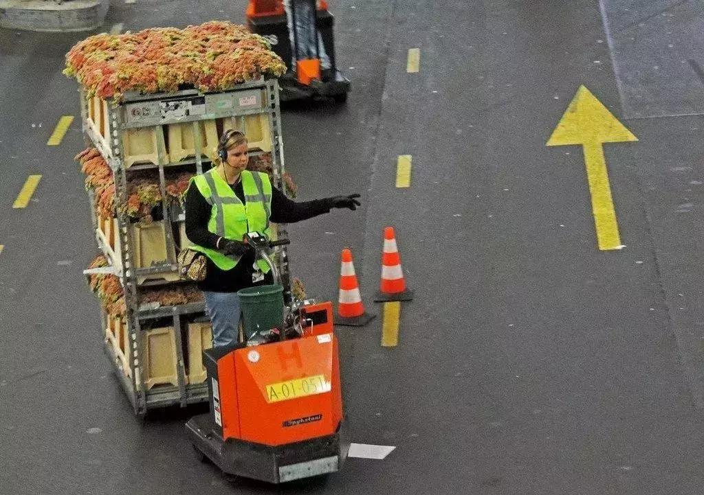 世界顶级鲜花市场,全国最大鲜花交易市场