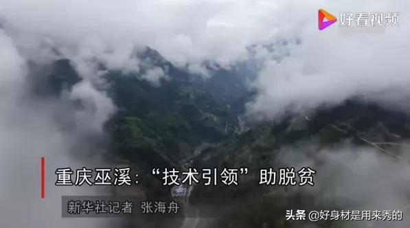 触目惊心,这才是美国黑人被歧视的根源