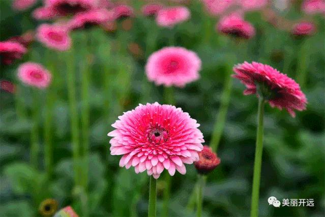 2019年,时光写就这样的开远