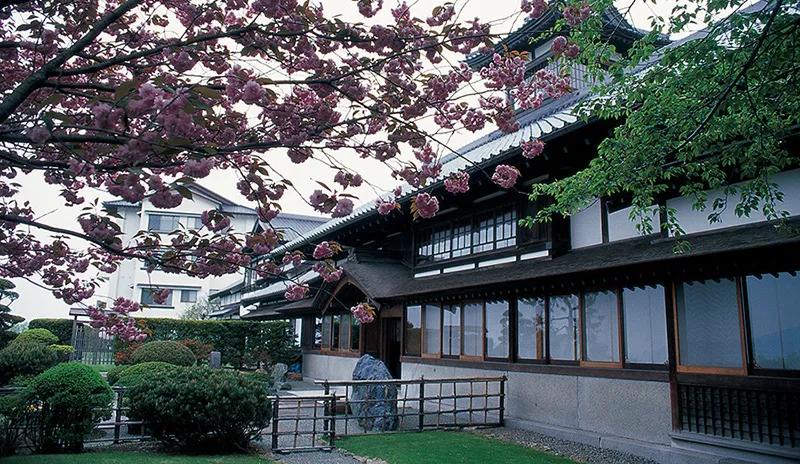 nitori鍥炴敹,nitori娓呬粨