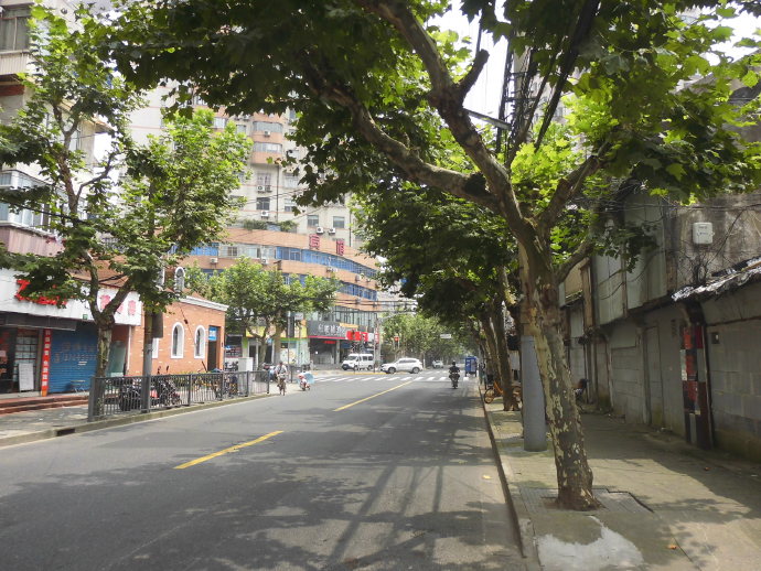 租界公园、跑狗场、卷烟厂，这条马路“活化石”太多