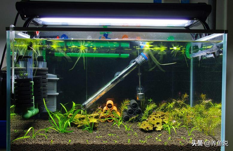 水草泥和陶粒砂火山石有啥区别,鱼缸种水草是陶粒好还是水草泥好