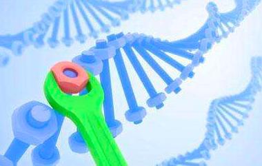 无性生殖到有性生殖的进化,无性生殖是怎么进化成有性生殖的