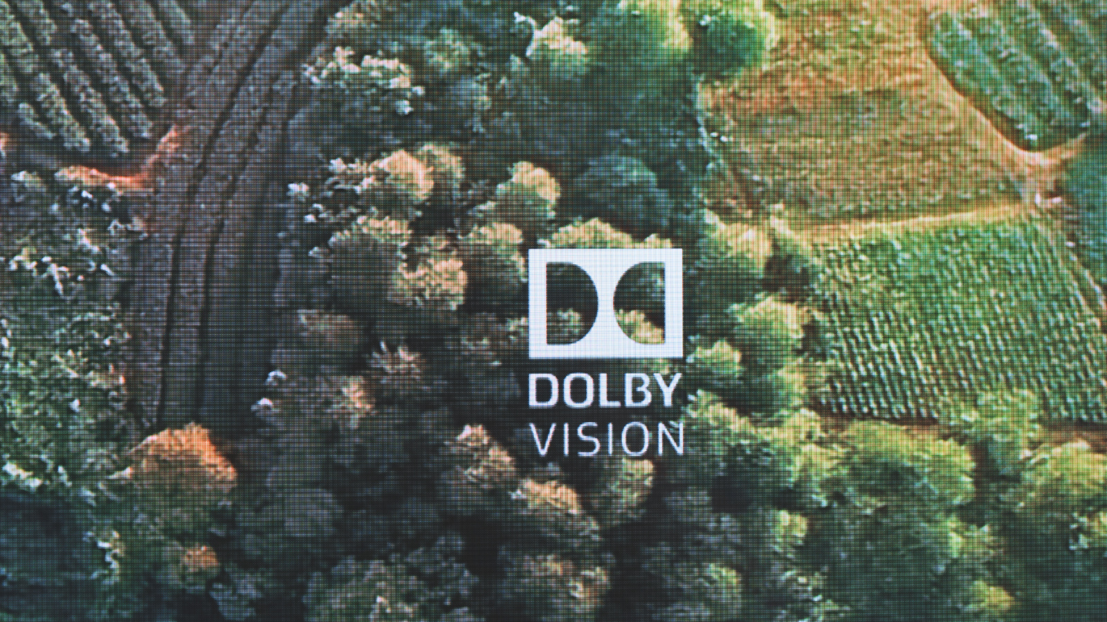 雷鸟画质好不好,雷鸟哪款画质好一点