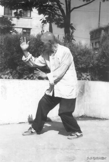 宋氏形意八字功教材视频,宋氏形意拳养生功