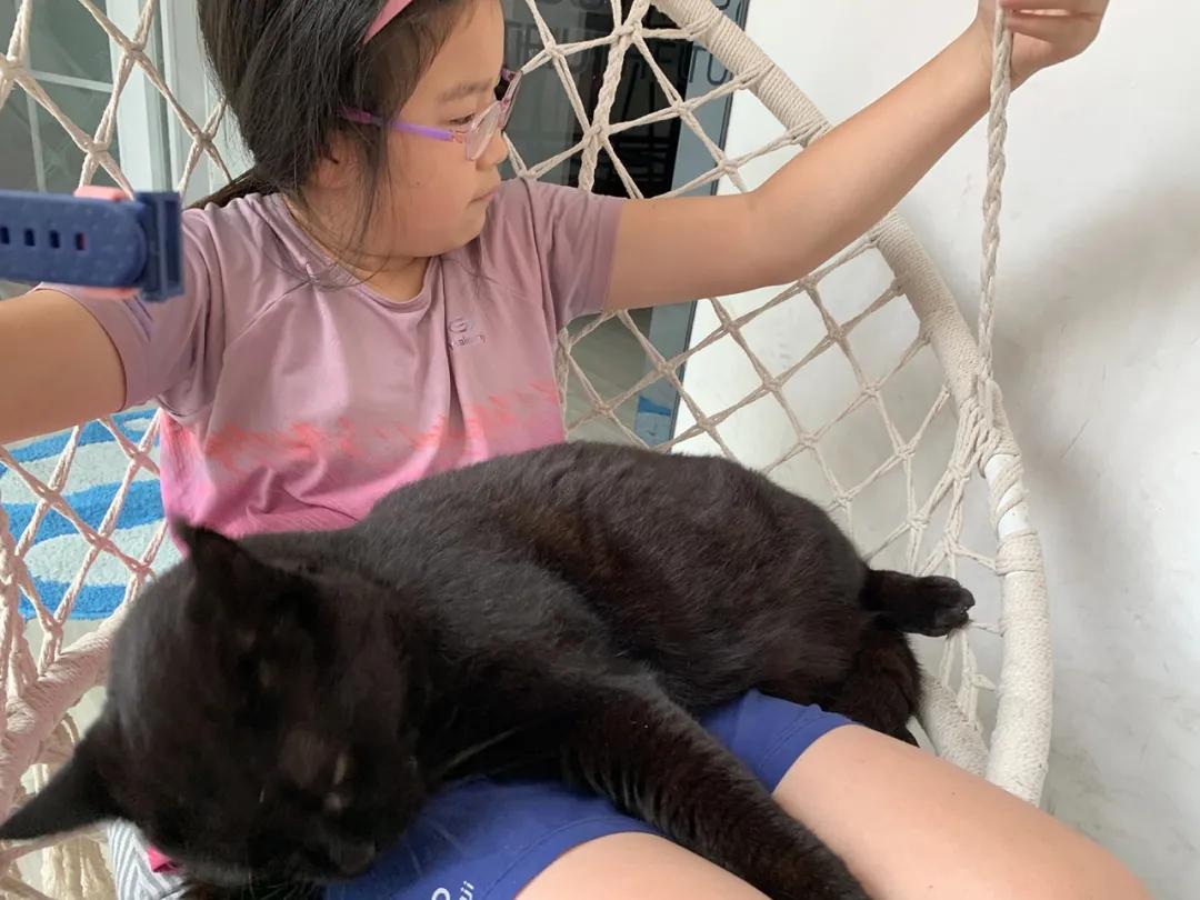 一次惬意的厦门之行,一家三口厦门玩四天