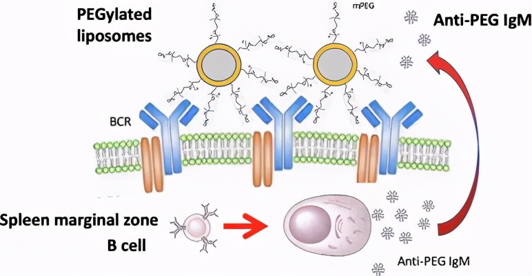 生物药物分析网课,生物药物分析和化学药物分析区别