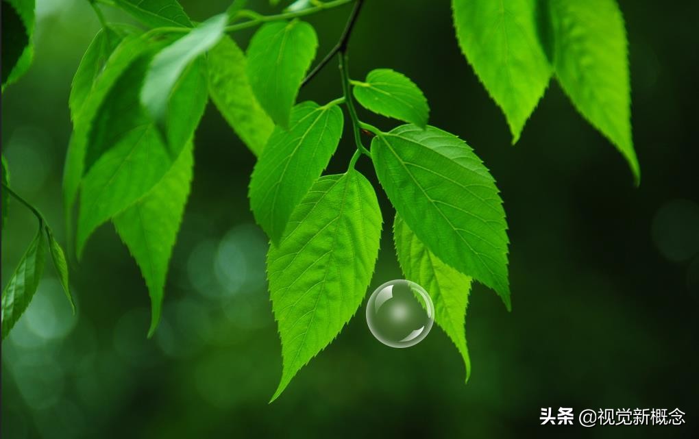 ps气泡效果字体,ps如何插入文本气泡