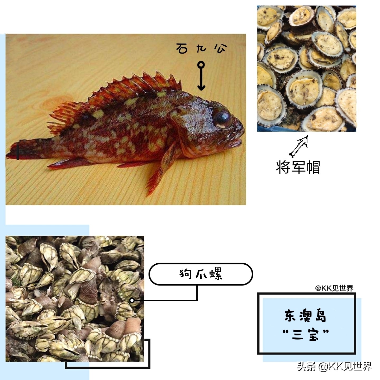 珠海东澳岛冬季游玩攻略,东澳岛旅游露营营地