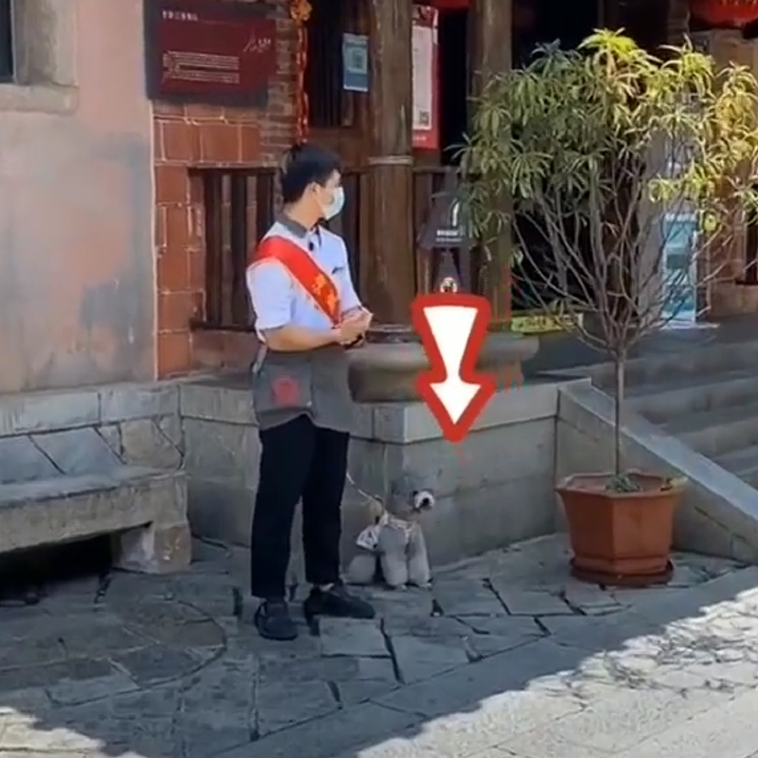 海底捞的服务真的很周到,海底捞的服务非常好英语