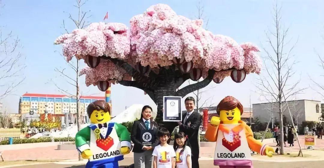 涔愰珮鎼缓鍏ラ棬涔︾睄鎺ㄨ崘,涔愰珮鎼缓涔︾睄鎺ㄨ崘