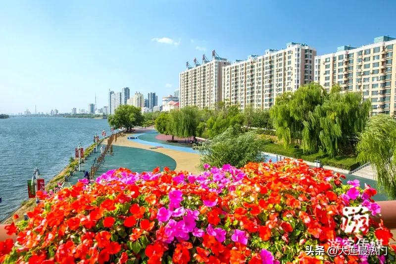 辽宁踏青赏花地点推荐,辽宁春游踏青赏杜鹃花