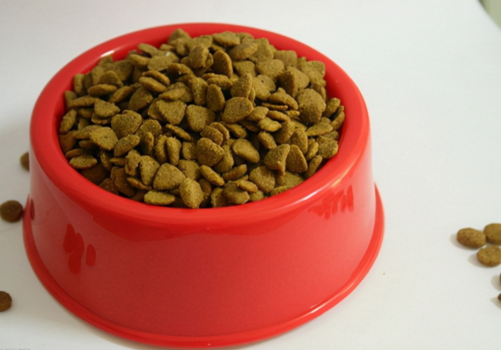 狗狗腹泻呕吐怎么办用什么药,狗狗吃了骨头呕吐腹泻怎么办