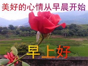 早上好祝福平安健康快乐的话,早上好平安快乐祝福语