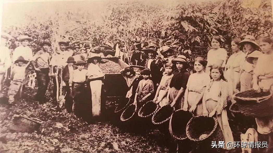 哥斯达黎加什么时候废除军队,哥斯达黎加为什么不设军队