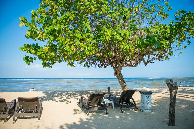 巴厘岛spa旅游真实感受,在泰国巴厘岛做spa的感受