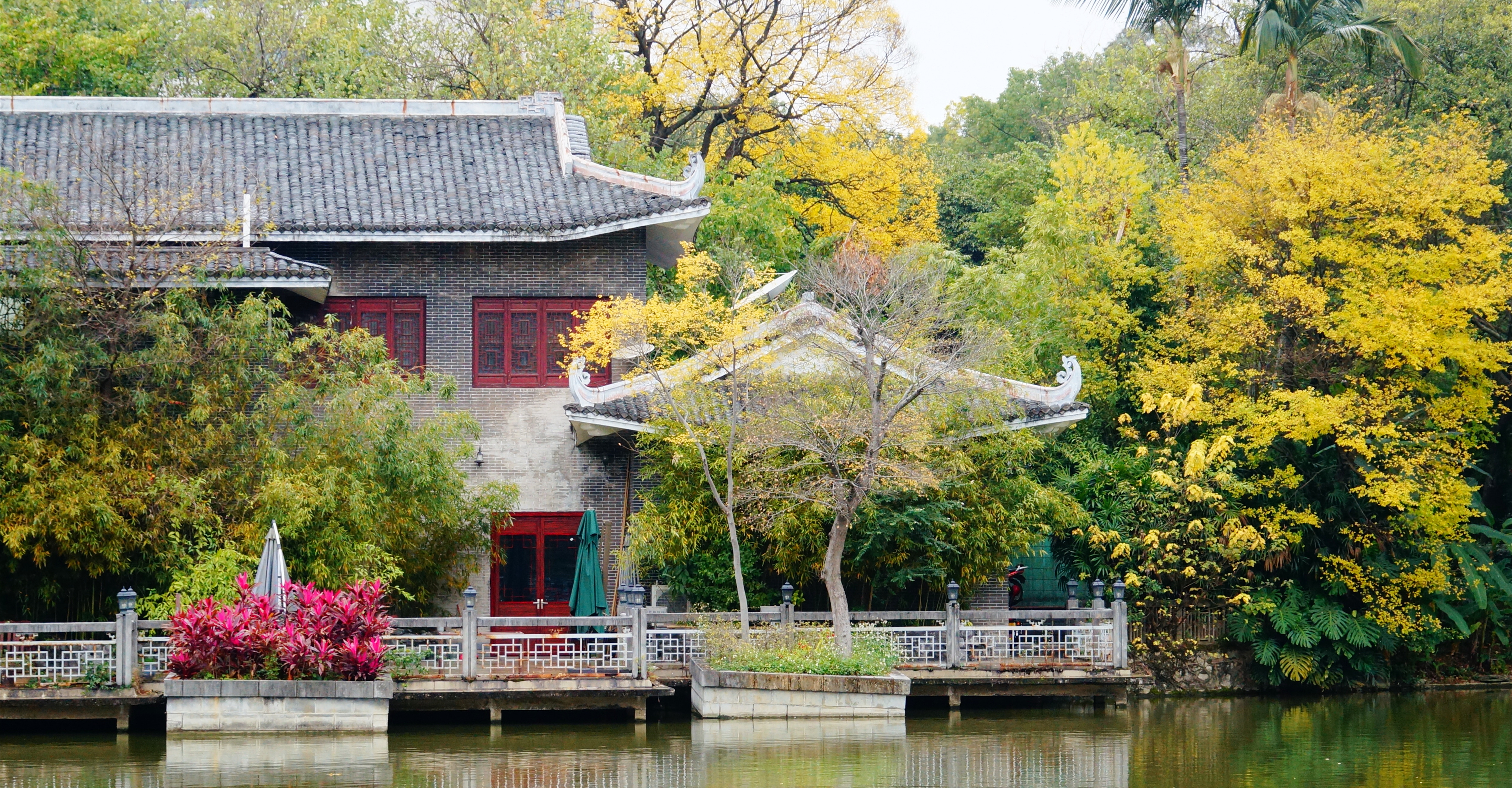 柳州的柳侯公园景色,柳州的秋天美景