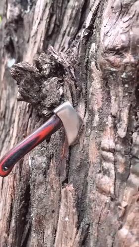 学会这招不愁找不到女朋友,学会这几招不怕找不到女朋友