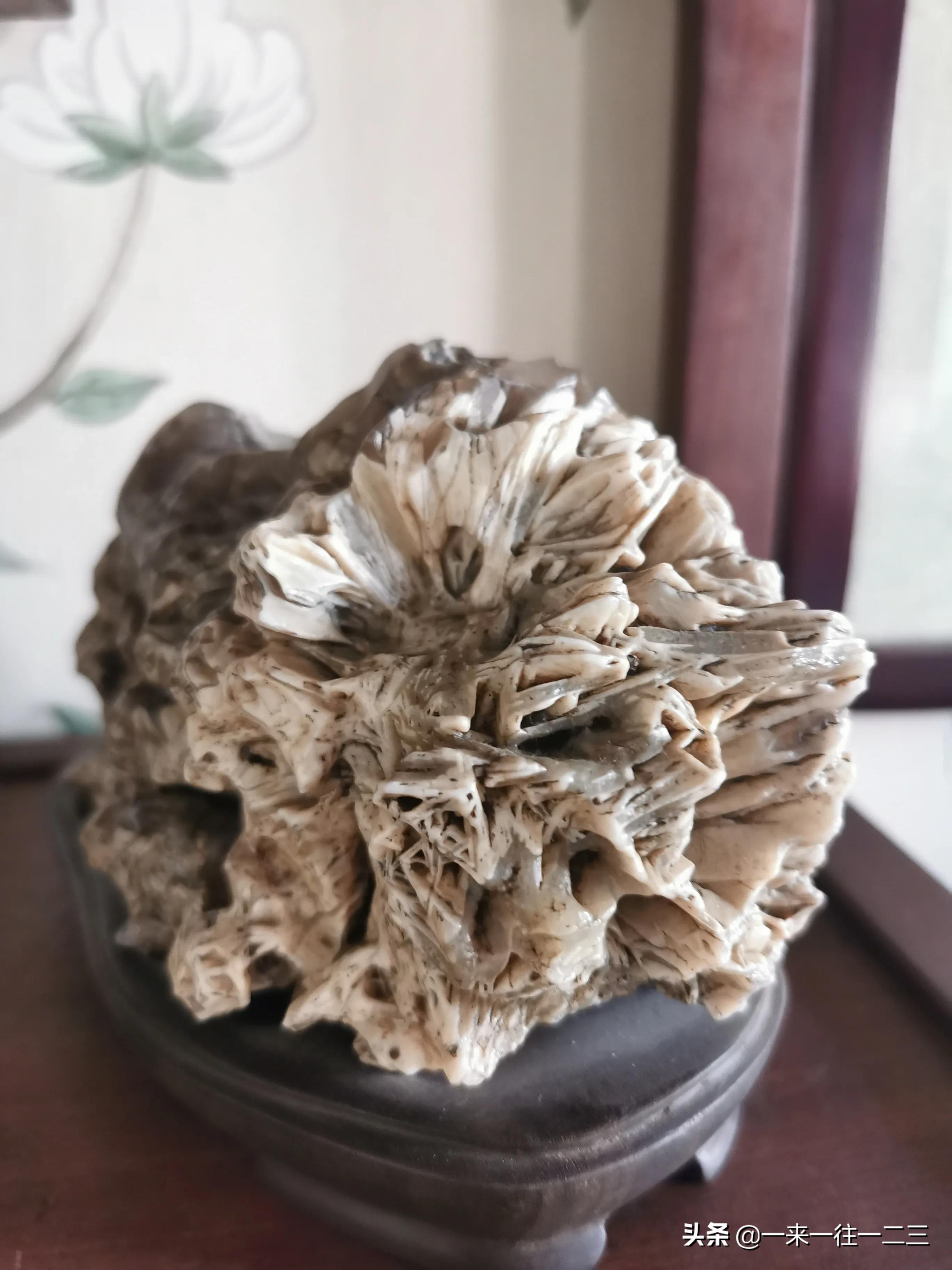 阿拉善天然戈壁奇石,阿拉善戈壁沙漠奇石