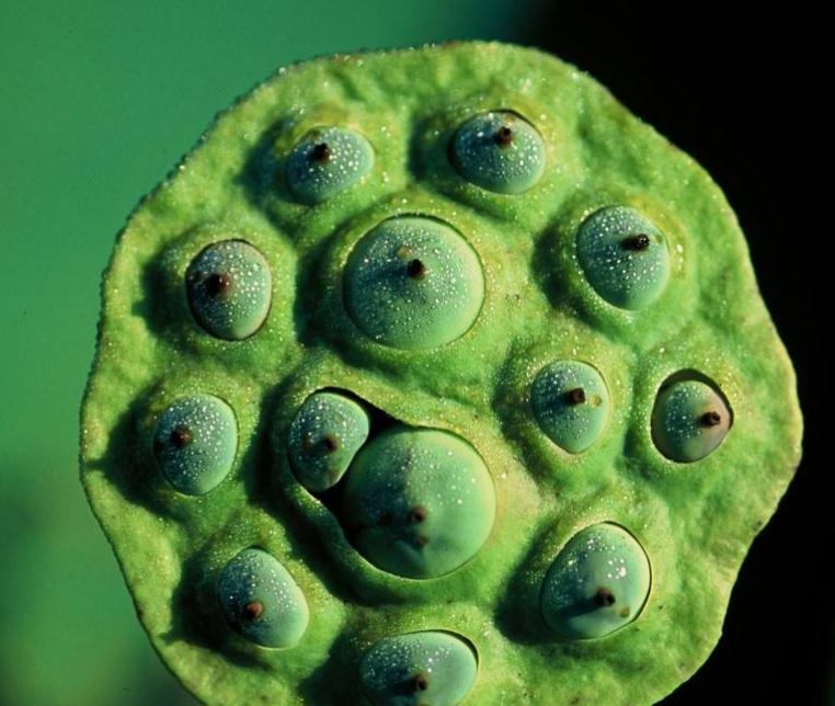 高僧说：人在红尘，这三件事看破别说破，才是真正地解脱，我懂了