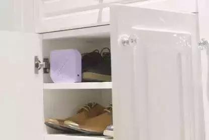 仓鼠小百科|你知道你睡的床上每天都有千万螨虫在吃你的皮屑吗