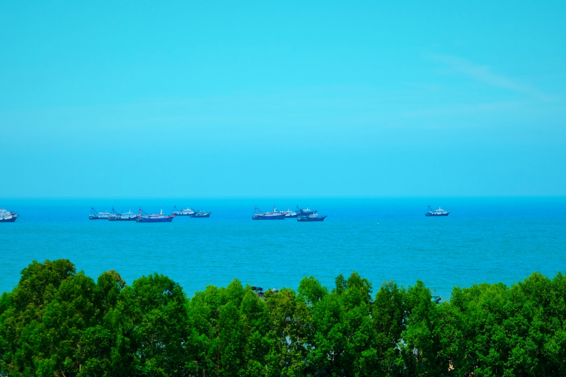 广东湛江旅游攻略美食,湛江旅游海鲜推荐一下