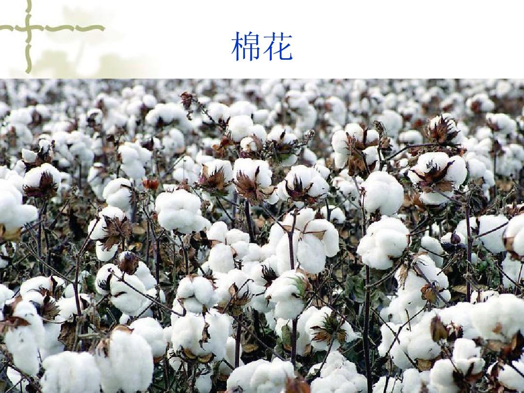 大国博弈下，法务如何防范规避敏感政治事件带来的商业风险