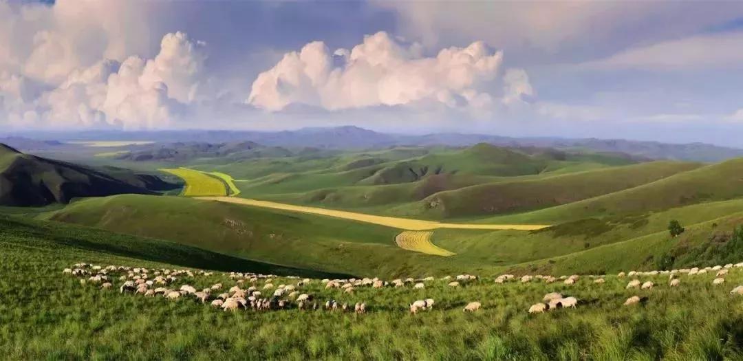 敖包相会的地方背面完整版,敖包相会的地方在通辽