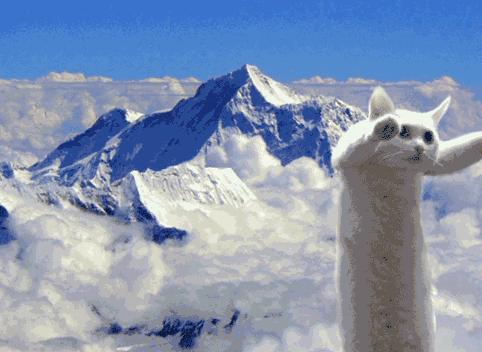 手机丢失如何定位找回原来的微信,微信遗失寻回办法