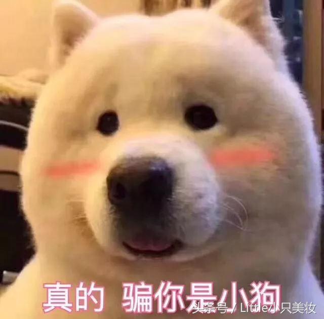 资生堂旗下平价好用护肤品,资生堂必买的10款产品