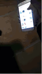 铲屎官学猫叫猫咪会有什么反应,猫咪被铲屎官捉弄